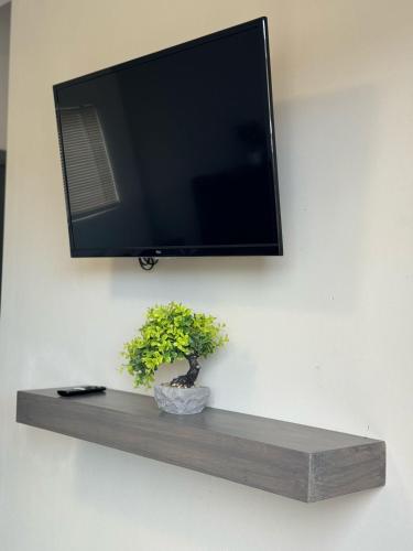 TV a/nebo společenská místnost v ubytování OLINA en Valle de Guadalupe