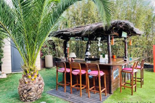 Zahrada ubytování 06AL - Architect-designed villa with pool and sea view