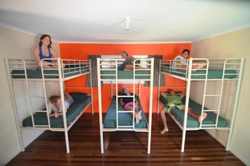 Backpackers In Paradise 18-35 Hostel في غولد كوست: مجموعة من الناس في سرير بطابقين في غرفة