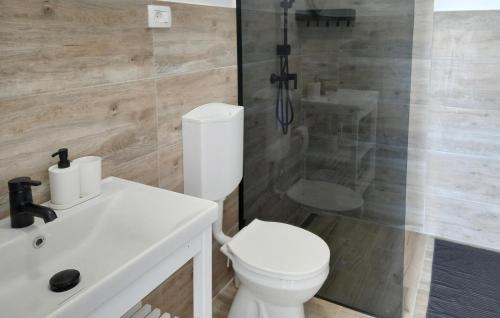 a bathroom with a toilet and a shower and a sink at Nice Home In Zemunik Donji With Kitchen in Smrdelje