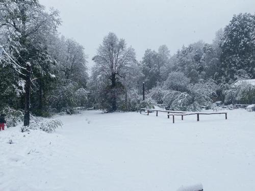 a snow covered park with benches in a field at Termas Palguin Pucón in Pucón