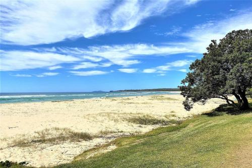 a tree on a sandy beach with the ocean at Charming Beach Getaway in Valla Beach