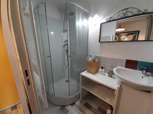a bathroom with a shower and a sink at Studio Saint-Hilaire-de-Riez, 1 pièce, 2 personnes - FR-1-324-564 in Saint-Hilaire-de-Riez