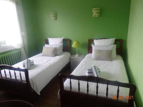 2 Betten in einem Zimmer mit grünen Wänden in der Unterkunft Gîte Dhuizon, 4 pièces, 6 personnes - FR-1-491-348 in Dhuizon