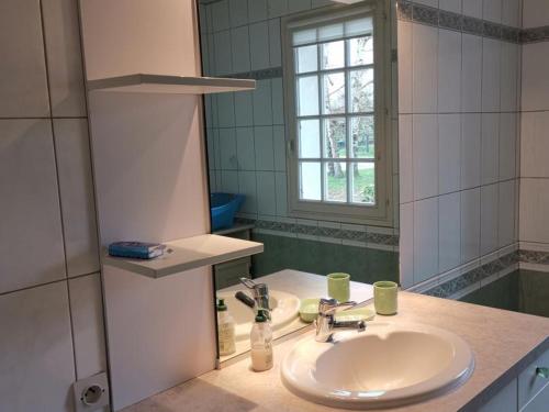 uma casa de banho com um lavatório e um espelho em Gîte Oisly, 5 pièces, 10 personnes - FR-1-491-361 em Oisly