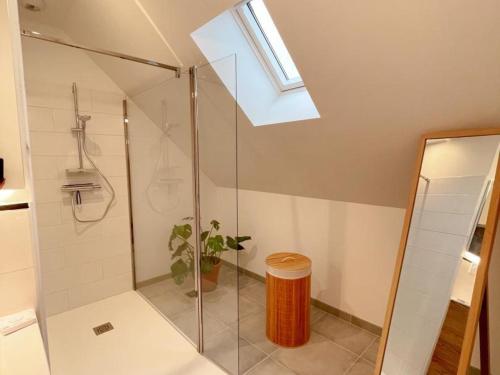 baño con ducha y tragaluz en Gîte Mont-prés-Chambord, 4 pièces, 6 personnes - FR-1-491-365, en Mont-près-Chambord