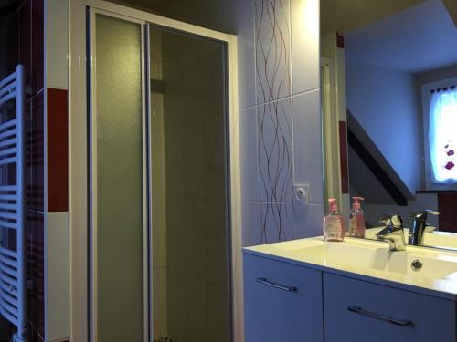 a bathroom with a shower and a sink and a mirror at Maison avec cour, WiFi, animaux admis, parking - Saint-Rimay - FR-1-491-383 in Saint-Rimay