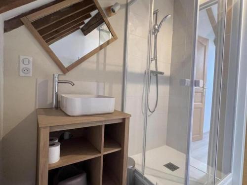 une salle de bain avec un lavabo et une douche dans l'établissement Maison de caractère avec jardin clos, près des châteaux de la Loire, tout inclus ! - FR-1-491-406, à Vallières-les-Grandes