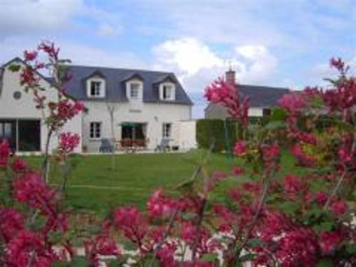 Maison avec piscine privative, proche châteaux de la Loire, 3 chambres, animaux acceptés, WiFi inclus - FR-1-491-413