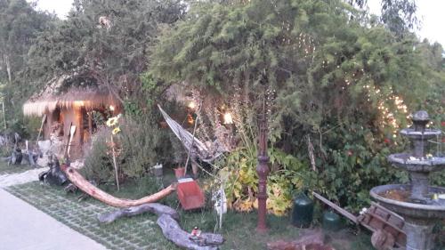 a garden with a large tree and a house at Cabañas Rukas Licantén in Licantén