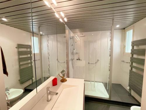 baño blanco con ducha y lavamanos en Gîte Vendôme, 2 pièces, 2 personnes - FR-1-491-439, en Vendôme