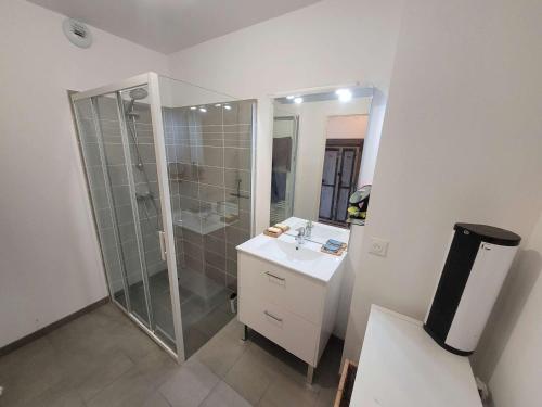 une salle de bain avec douche et lavabo dans l'établissement Bel appartement moderne avec jardin et parking privatif - FR-1-675-38, à Wimereux