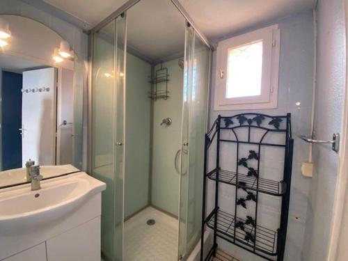 une salle de bain avec douche et lavabo dans l'établissement Appartement 2 pièces proche plage et commerces, 4 pers, Barcares - FR-1-782-47, au Barcarès