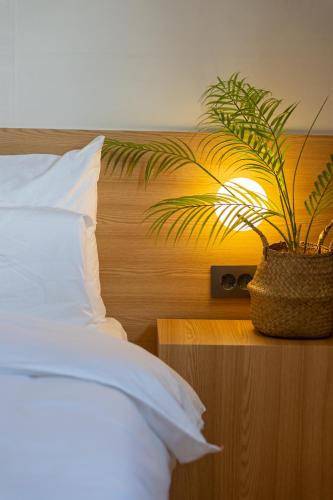 a bedroom with a bed with a plant in a basket at Aank Hotel Daejeon Yongjeon 2nd in Daejeon
