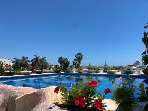 a large swimming pool with flowers in the foreground at Hotel Tierra Marina Centro Historico in Mazatlán