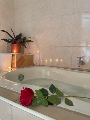 ein Badezimmer mit einer Badewanne mit einer Blume darauf in der Unterkunft Irigoin Hospedaje in Nueva Cajamarca
