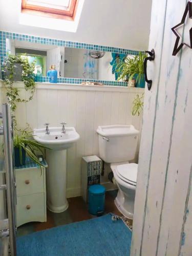 a bathroom with a toilet and a sink at 2-Bedroom cottage in Barmouth old town with sea views in Barmouth