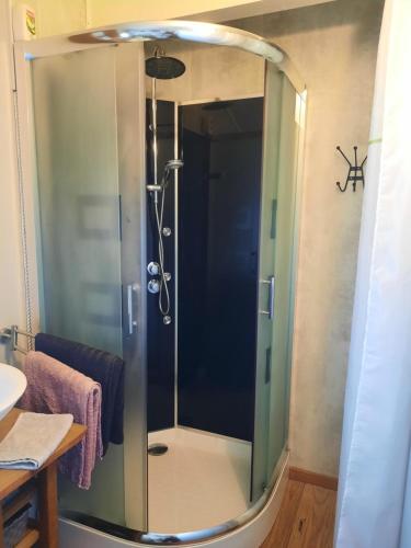 a shower with a glass door in a bathroom at Chambre d'hôtes La Perla du Teich, piscine chauffée in Le Teich
