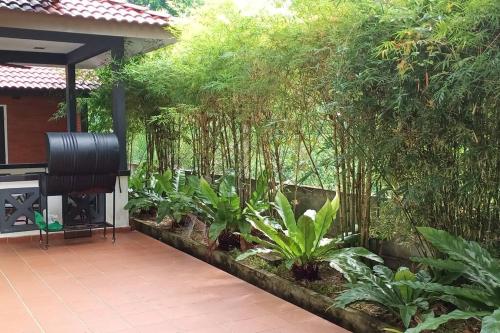 a garden with trees and plants on a patio at The Bird's Nest Holiday Villa Port Dickson in Port Dickson