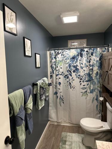 ein Bad mit einer Dusche und einem WC in der Unterkunft Retreat to my Contemporary Home in Morgantown
