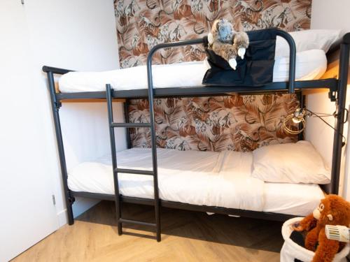 a couple of bunk beds in a room at Pet-Friendly Rural Escape in Zevenhuizen