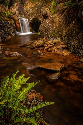 a waterfall in the middle of a stream at The Gardener's Cottage on Warrentinna in Branxholm