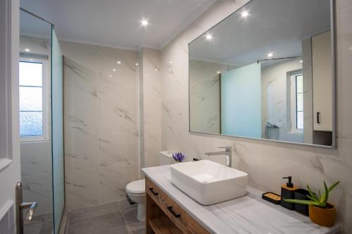 a bathroom with a sink and a mirror at Stefano's Home in Potokáki