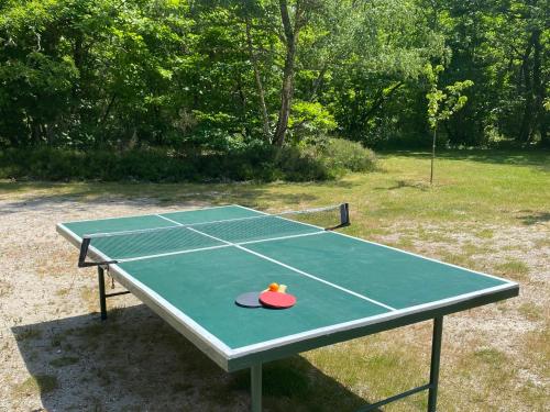una mesa de ping pong con una pelota de tenis. en 'Hotel One Suite' Suite with Private Beach, Natural Swimming Pool & Reserve en Neung-sur-Beuvron