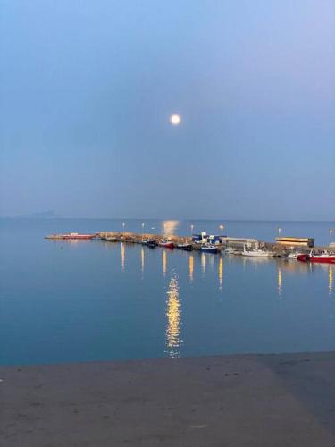 a view of a pier with boats in the water at La terrazza sul porto in Anzio