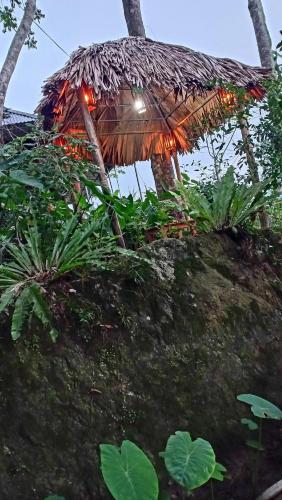 Сад в Puluong Bao Gia Homestay