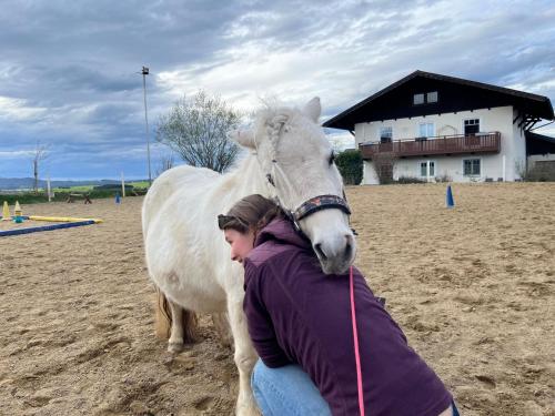 a woman hugging a white horse in a field at Pferdehof Thomayer in Strasswalchen