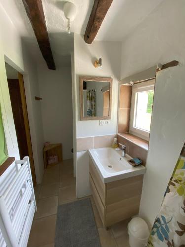 a bathroom with a sink and a mirror at Au Chêne Gauthier in Pouillé