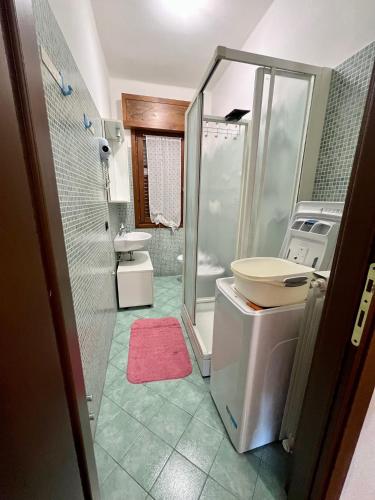 a bathroom with a shower and a sink and a toilet at Bed &... Fly in Grassobbio