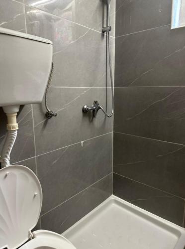 ein Bad mit einem WC und einer Dusche in der Unterkunft Club Themis Hotel in Kotor