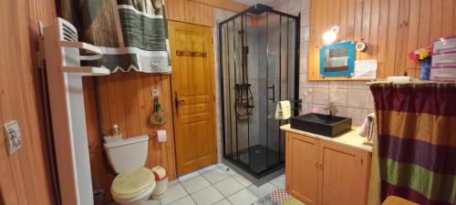 une salle de bains avec douche, toilettes et lavabo dans l'établissement Studio avec solarium, à Bourg-Saint-Maurice