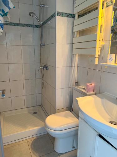 une salle de bain avec toilettes, douche et lavabo dans l'établissement La Studette Marina 06, à Villeneuve-Loubet