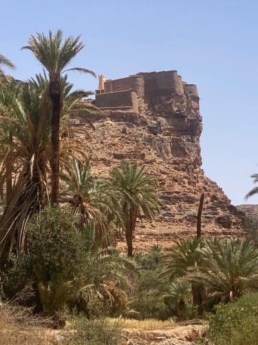 a castle on top of a mountain with palm trees at Hotel camping amtoudi in Id AÃ¯ssa