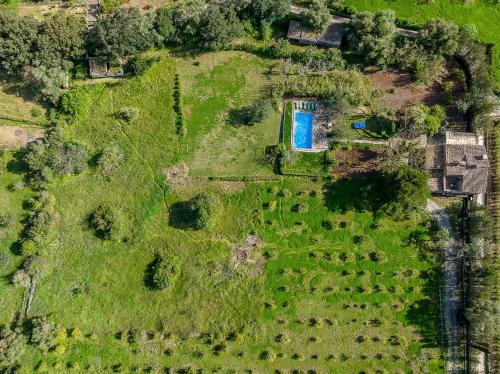 una vista aérea de un jardín con un edificio azul en El Rafalet, en Pollensa