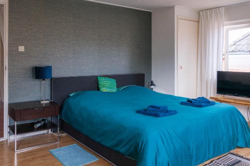 a bedroom with a bed with blue sheets and a television at BenB De Dromen van Tuyn in Aalten
