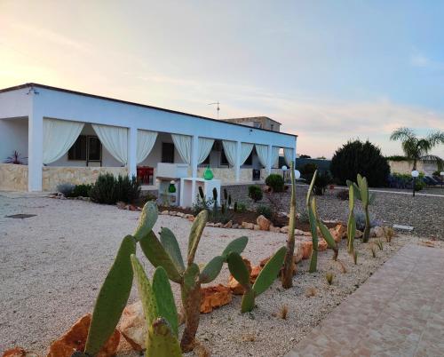 un edificio con un cactus delante en Villa Marinezzi, en Mesagne