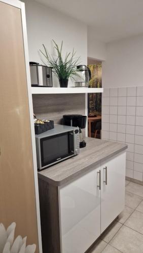 a kitchen with a counter with a microwave on it at Ferienwohnung Vier Pfoten in Willingen
