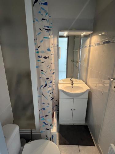 une petite salle de bain avec un lavabo et des toilettes dans l'établissement PRIMAVERA Agréable T2 résidence avec piscine Plage Richelieu Cap d'Agde, au Cap d'Agde