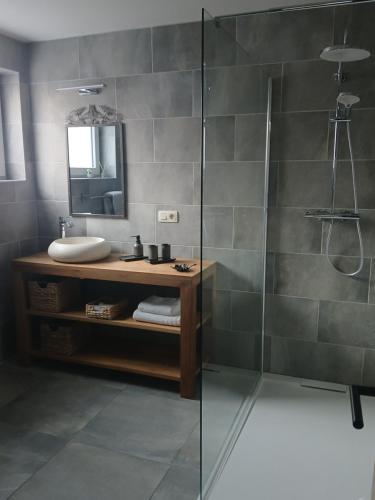 y baño con ducha, lavabo y espejo. en Le Loft du Renard, Gîte rural à Namur Wépion, en Namur