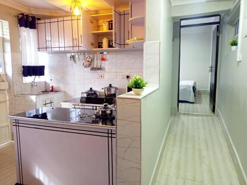 eine Küche mit einer Spüle und einer Arbeitsplatte in der Unterkunft Emerald Gardens Airbnb in Kitale
