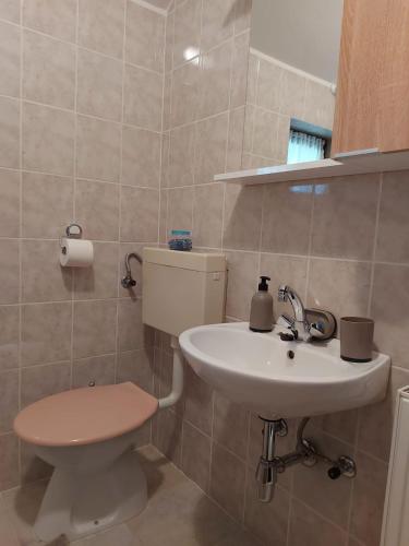 a bathroom with a toilet and a sink at Apartman Jana in Ozalj