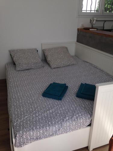 un lit avec deux oreillers bleus dessus dans l'établissement studio avec exterieur, à Eyragues