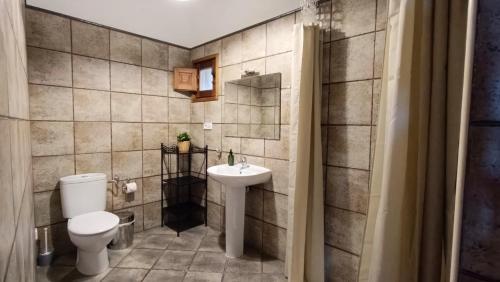 La salle de bains est pourvue de toilettes blanches et d'un lavabo. dans l'établissement Casa Miret de Mur, à Vilamolat de Mur