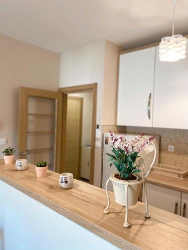 Billede fra billedgalleriet på Vanja apartment Przno i Budva