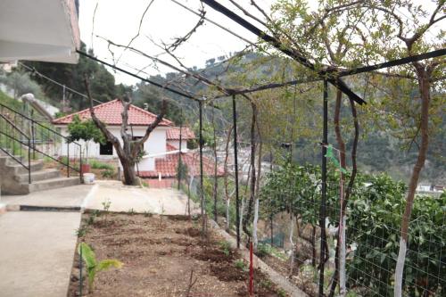 Bangunan di mana terletaknya apartmen