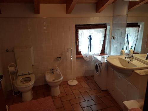 een badkamer met een toilet, een wastafel en een toilet bij Mansarda Dolomitica in Ronzo Chienis